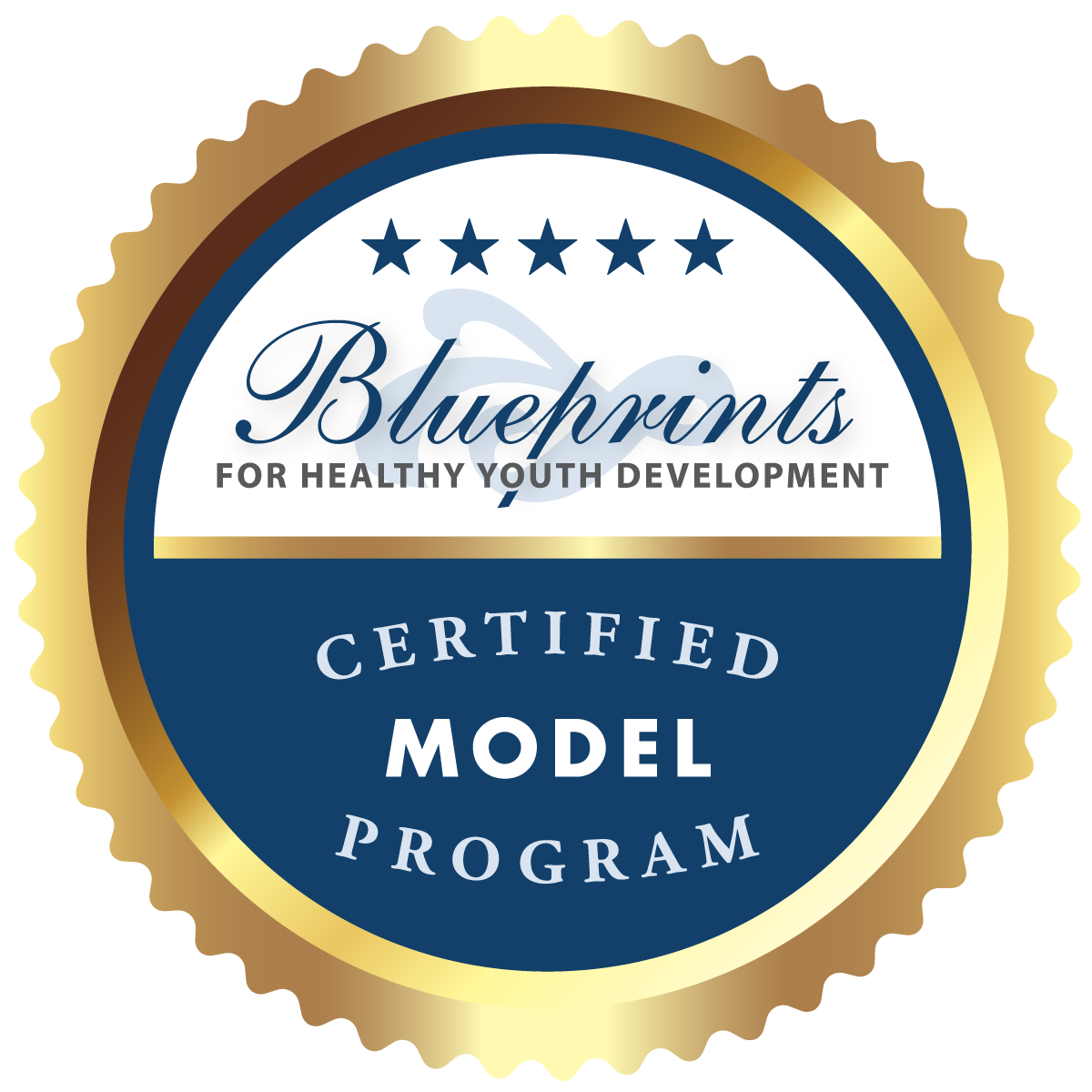 Blueprint For Health Series Chart Set